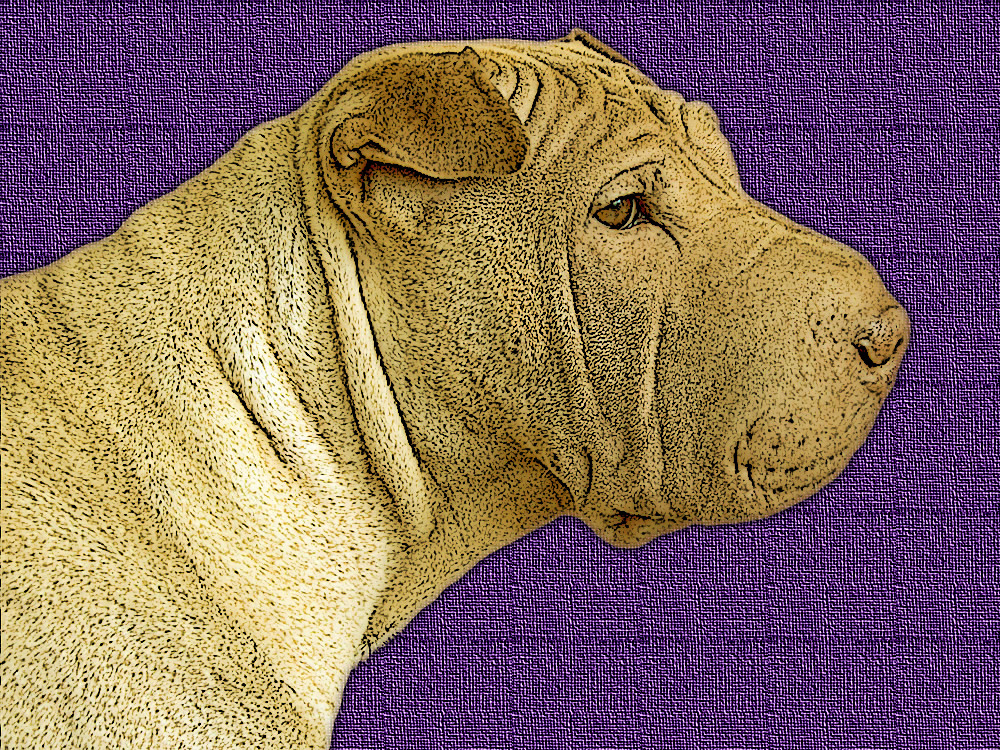 dog-canvas effect