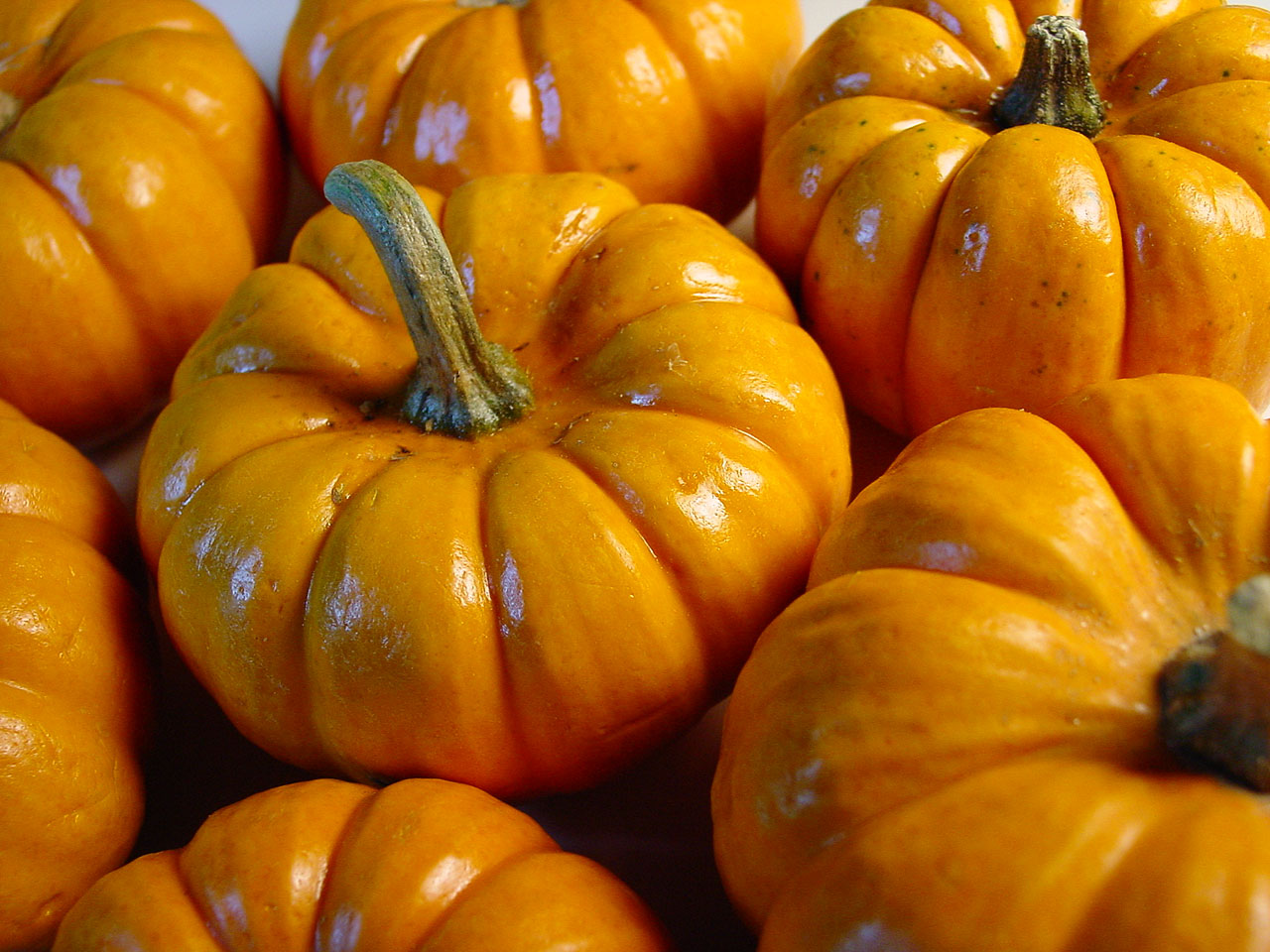 Pumpkins - Original
