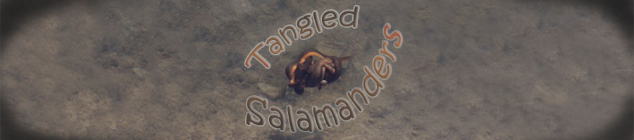 Tangled Salamanders logo
