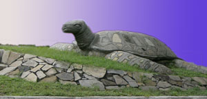 Turtle Sculpture