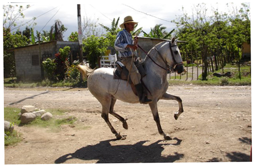 Spanish Translators