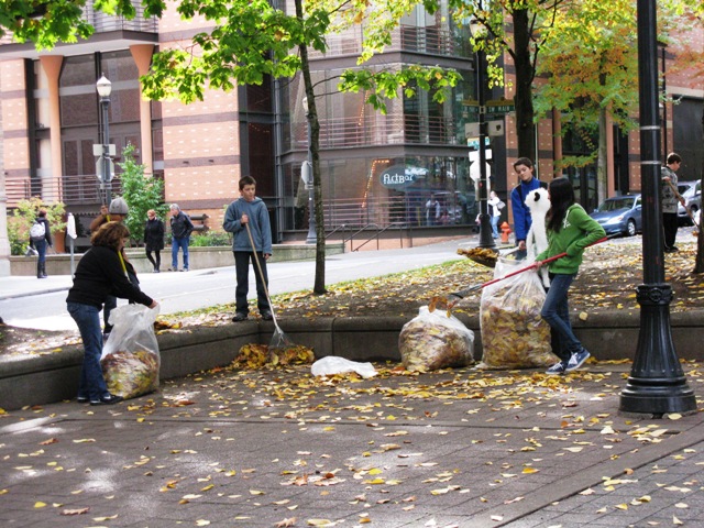 Beaverton School Kids Leaf Pick Up at the Park Blocks