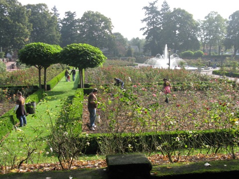 UPS Volunteers at Peninsula Park Rose Garden