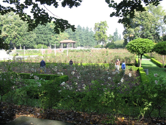 UPS at Peninsula Park Rose Garden
