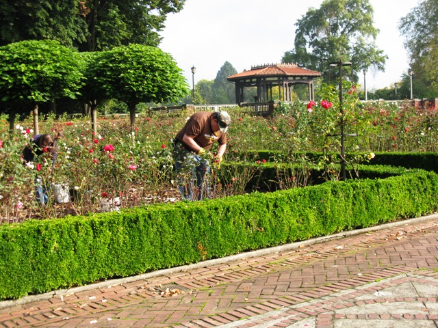 UPS at Peninsula Park Rose Garden