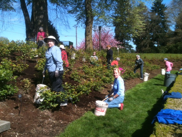 Peninsula Park Rose Garden